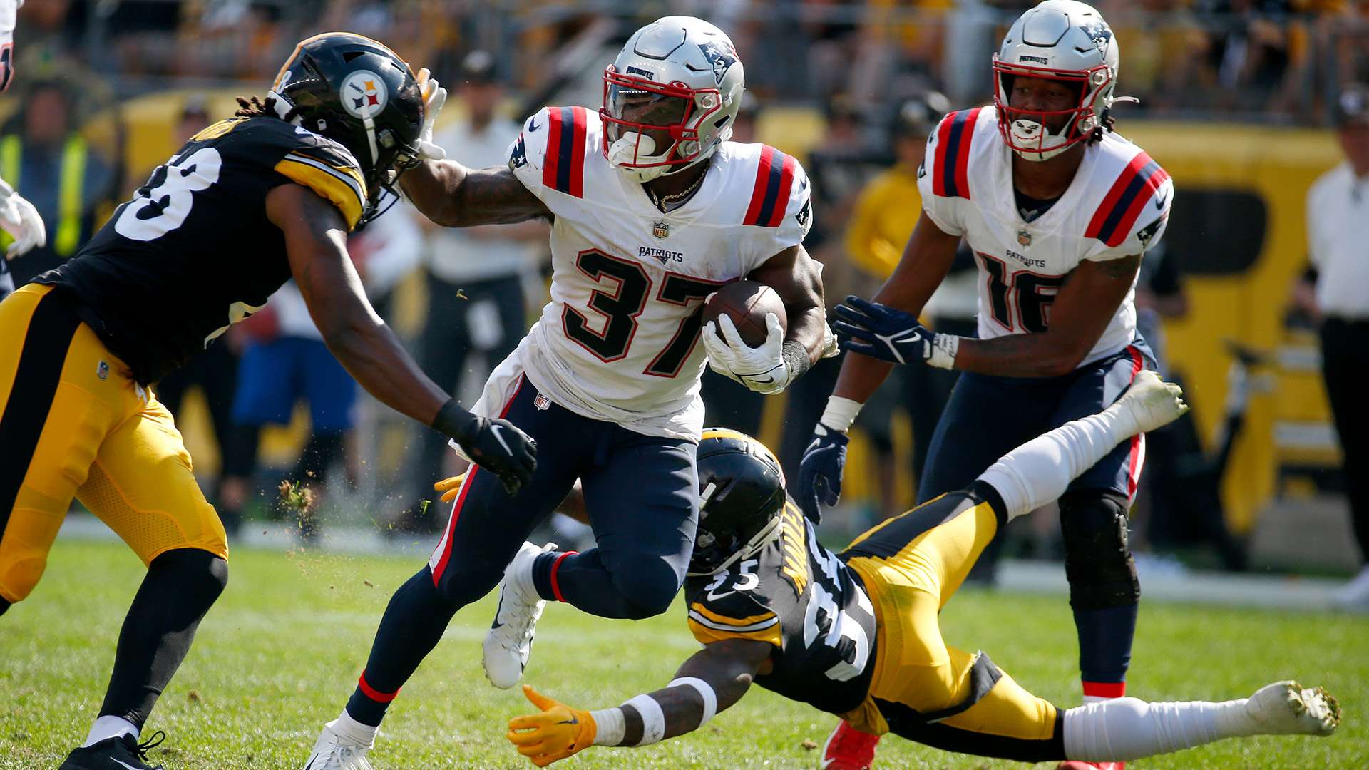 金子隆之清 金子隆之清