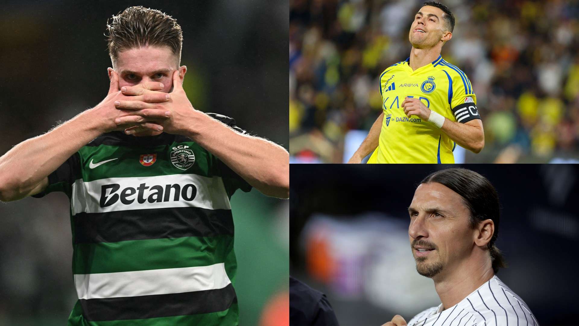 斗志和无畏 斗志和无畏