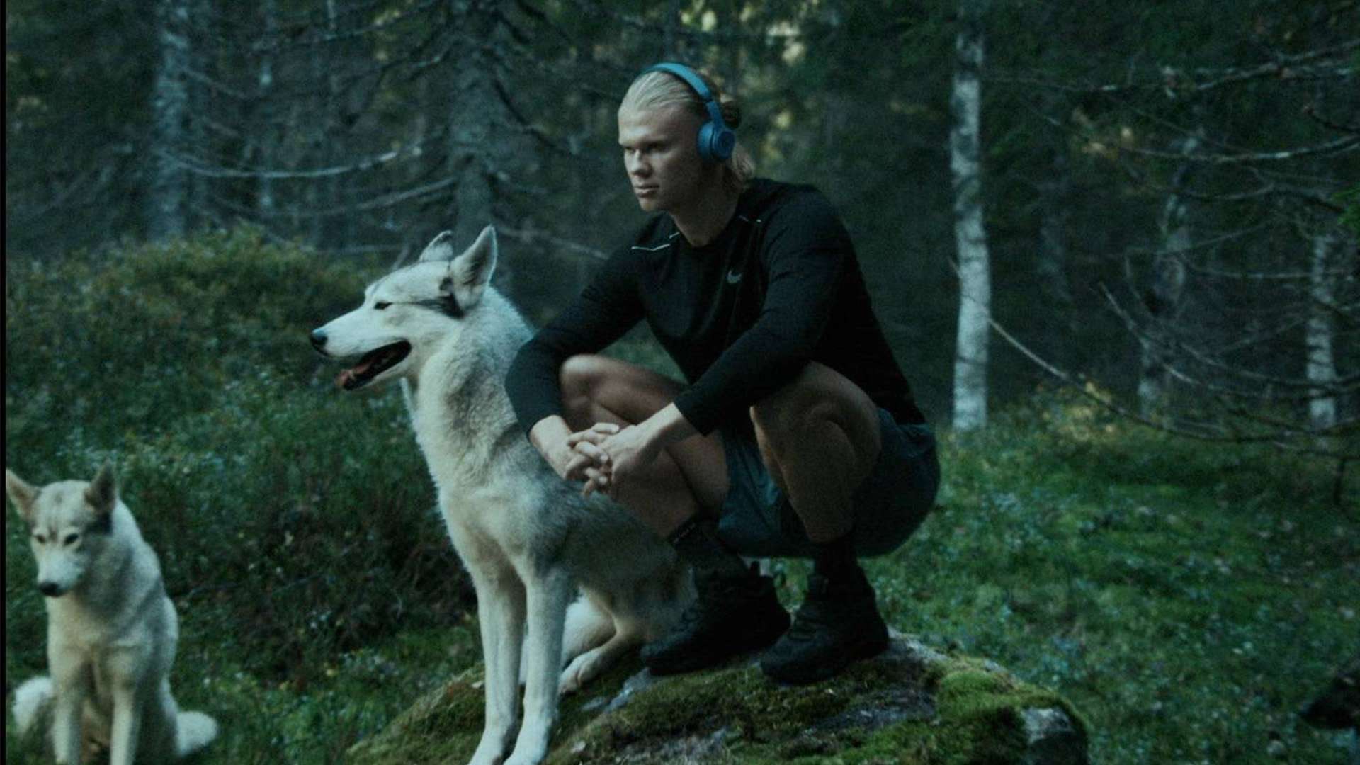 对手却不是 对手却不是